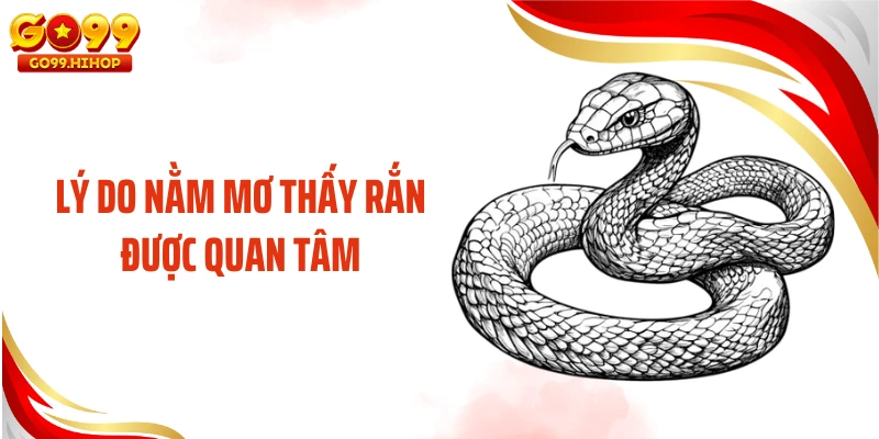 Lý do nằm mơ thấy rắn được quan tâm